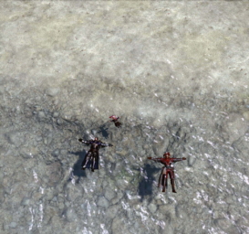 1 hyur, 1 peixe e uma batata flutuando nas águas de Shirogane